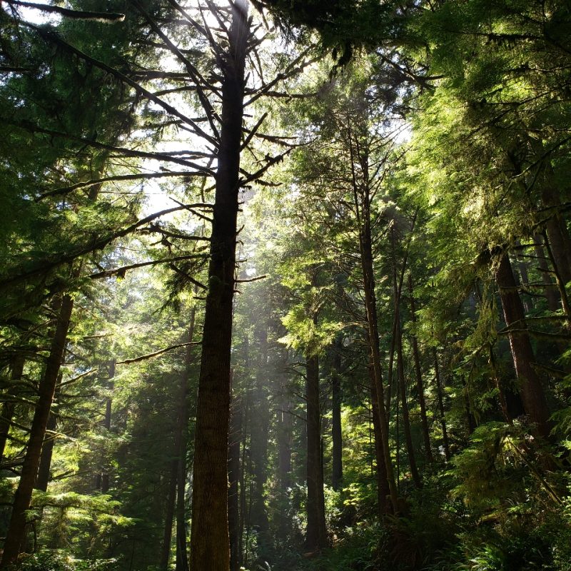 Resized_20250811_150306