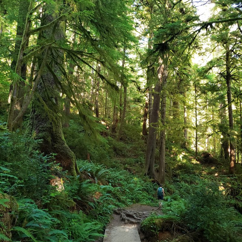 Resized_20250811_165752_439925225624212