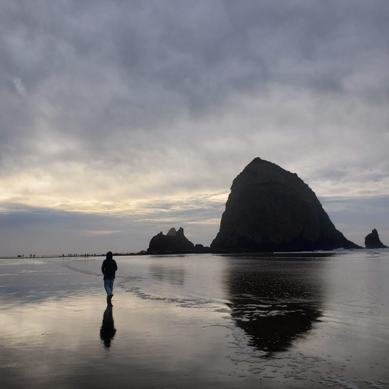 d234ffd8-9dff-47a1-a3ed-88175626e4cc